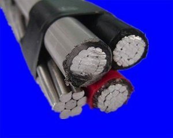 China 
                        Service Drop Wire PE/XLPE Insulated Cable
                      manufacture and supplier