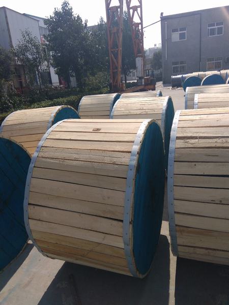 China 
                                 Der Zink beschichtete Stahldraht verwendet worden für ACSR                              Herstellung und Lieferant