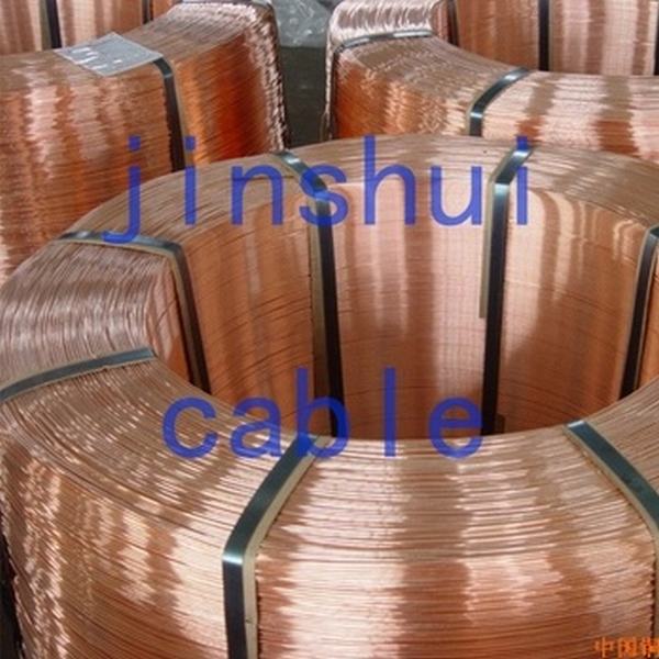 China 
                                 As conservas de ouro/fios de cobre revestido de fornecimento direto de fábrica                              fabricação e fornecedor