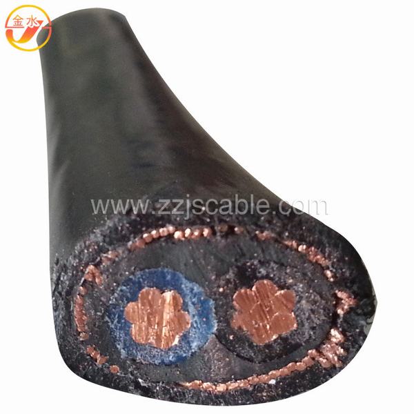 China 
                        Two Core XLPE Insulated Power Cable
                      manufacture and supplier
