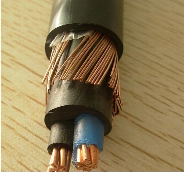 China 
                        Voltage Cu/Al Conductor Single Core Twin Core Concentric Cable
                      manufacture and supplier