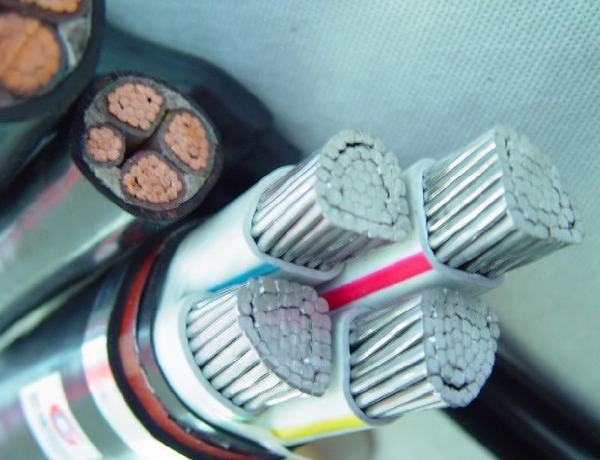 China 
                        XLPE Insulated Muilti Core Power Cable and Electrical Cable
                      manufacture and supplier