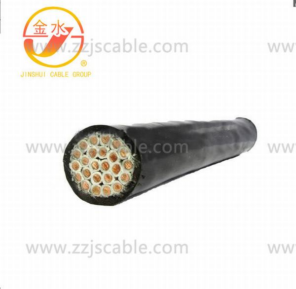 China 
                        XLPE Insulated Multi Core Control Cable
                      manufacture and supplier