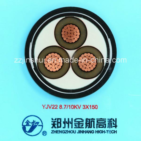 Китай 
                                 Изолированный XLPE стальной ленты бронированных кабель питания (10кв3-150)                              производитель и поставщик